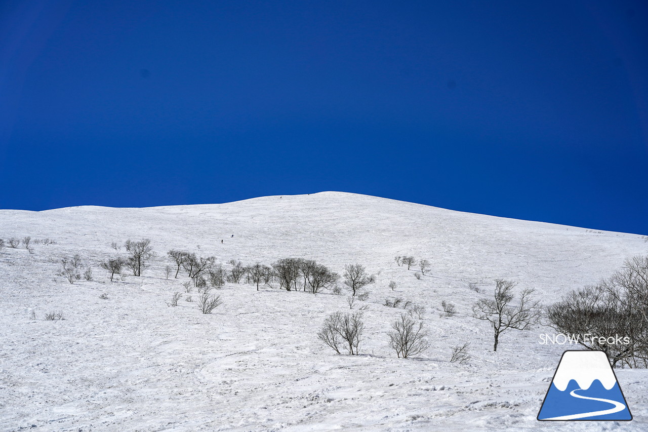 ニセコグラン・ヒラフ DYNASTAR SKI TEST RIDE DAYS Photo Session!!最高の天気に恵まれたニセコに、最高の仲間たちが集まりました☆